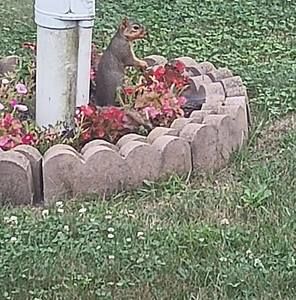 Meet your Posher, Millie